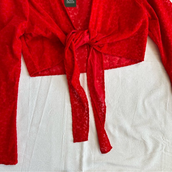 Brand New!! Wild Fable | Red Velvet Textured Front Tie Crop Top with Flowers - Picture 3 of 12